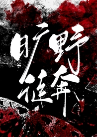 旷野小说