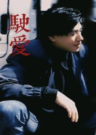石爱桥